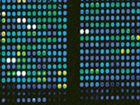 Microarray World Congress